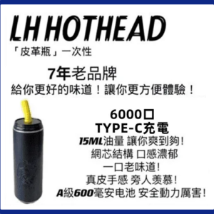 LH HOTHEAD皮革瓶電子煙可充電一次性拋棄式6000口