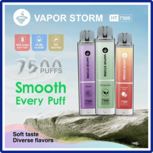 VAPOR STORM風暴辣妹電子煙可充電一次性拋棄式7500口